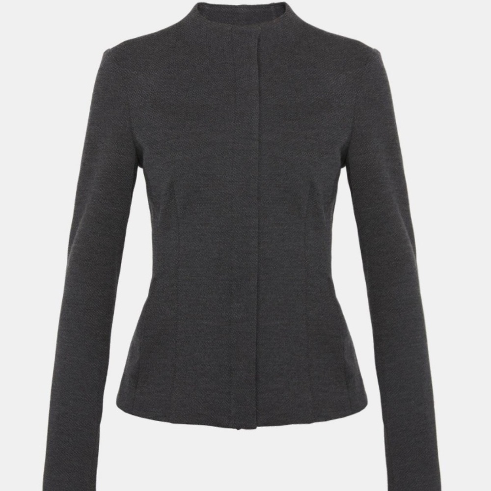 🌺Theory Jacket🌺